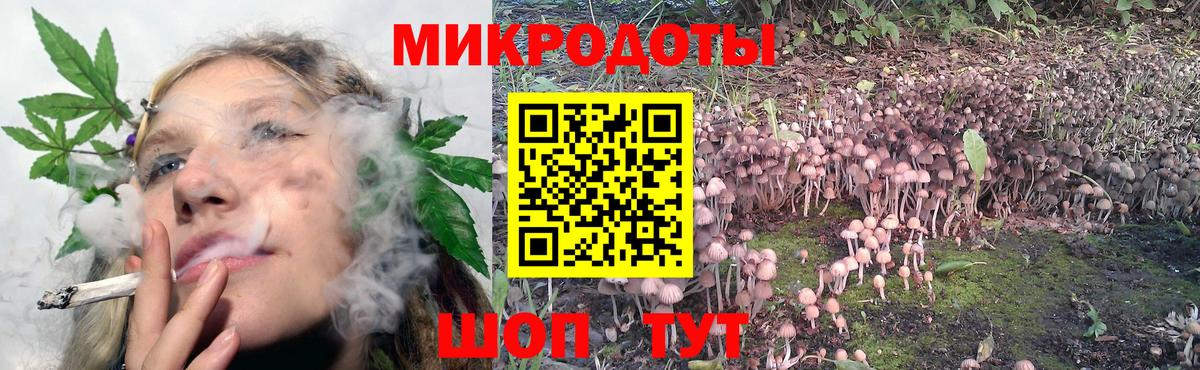 Галлюциногенные грибы MAGIC MUSHROOMS Астрахань